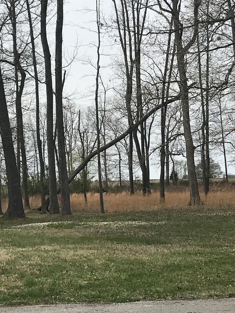 1030 Mission Acres, Pleasant View, TN 37146